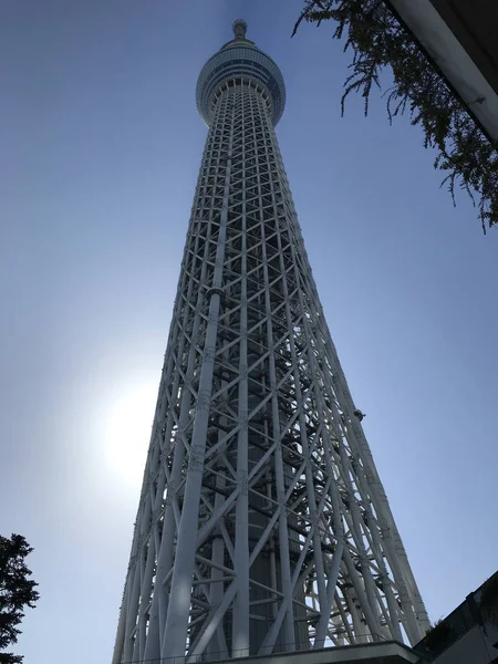Знімок Токіо Скайтрі Під Синім Небом — стокове фото
