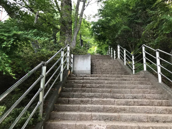 Tiro Cênico Escadas Floresta Montanha Parque — Fotografia de Stock