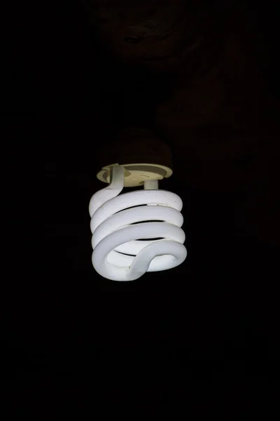 Лампи лампочки на фоні — стокове фото