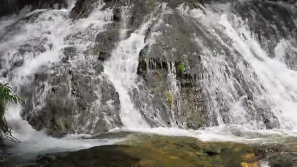 Cascada y rocas cubiertas de musgo — Vídeos de Stock