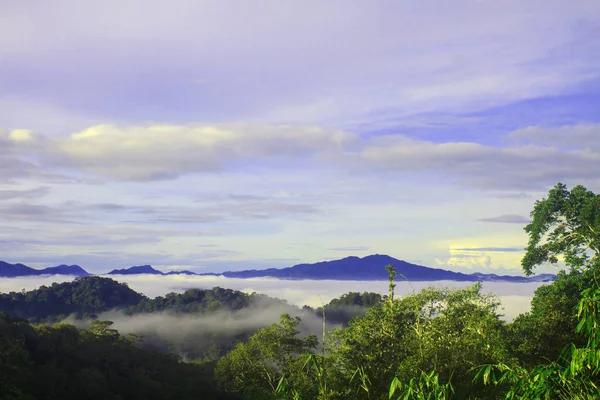 Sea of fog with forests as foreground — Stock Photo, Image