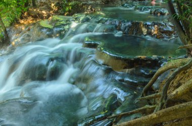 derin orman doğa şelale