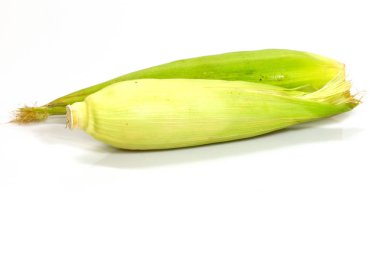 Beyaz arkaplanda mısır 