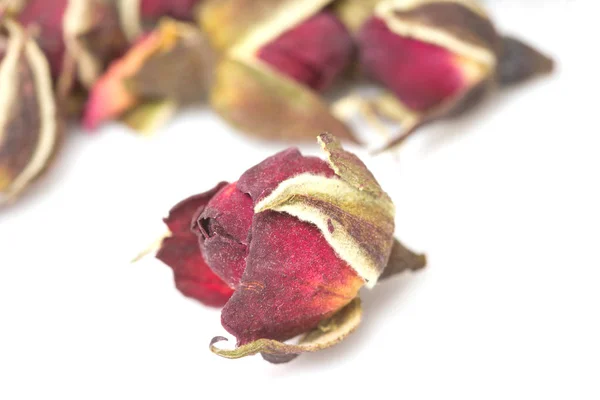 Flores de rosa de té sobre fondo blanco — Foto de Stock