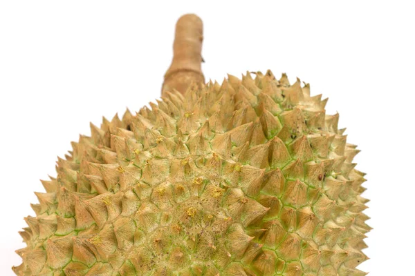 Mon Thong durian fruit on white background — Stock Photo, Image