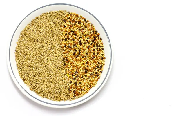 Просо сухие семена красивый текстурированный фон — стоковое фото
