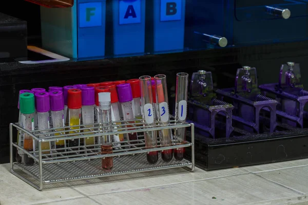 balgam genexpert test Mycobacterium tüberküloz için