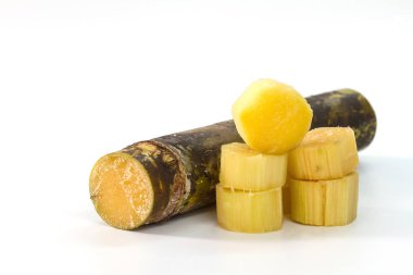 Beyaz arkaplanda izole şeker kamışı