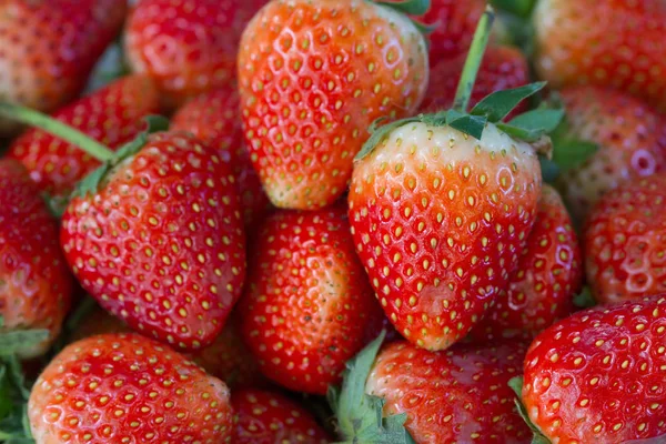 Close Van Strawberry Achtergrond Verse Biologische Bessen — Stockfoto