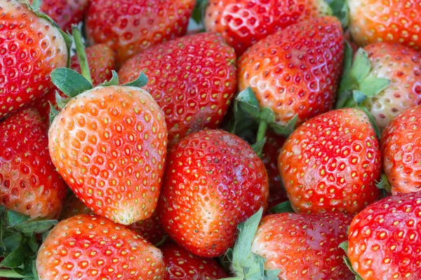 Close Van Strawberry Achtergrond Verse Biologische Bessen — Stockfoto