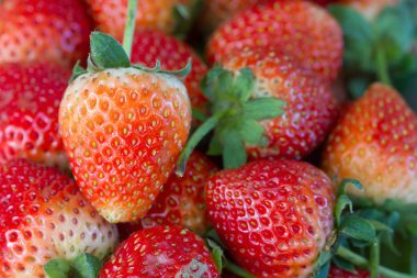 Çilek arka planı kapat