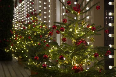 Topları ile süslenen bir Noel ağacı.