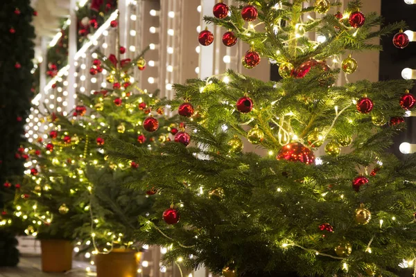 Topları ile süslenen bir Noel ağacı.