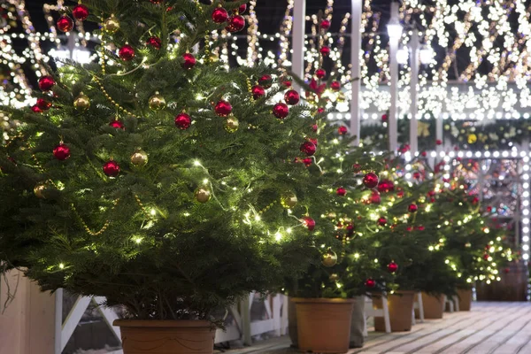 Topları ile süslenen bir Noel ağacı.