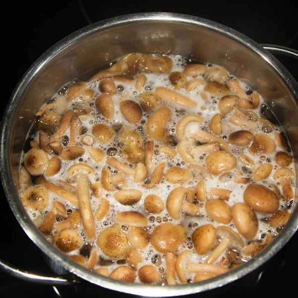 Decoction of mushrooms Armillaria (honey agaric) — Stock Photo, Image