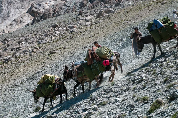 Eşek taşırlar, Fann dağları, Tacikistan