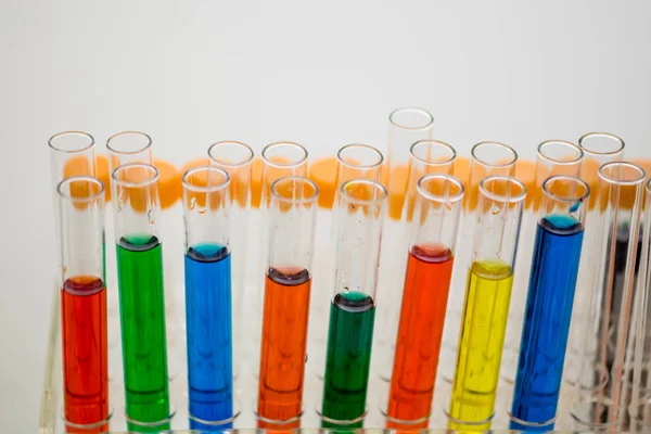 Colorful test tubes in holder — Stock Photo, Image