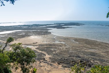 Tropical beach with blue sky and golden sand