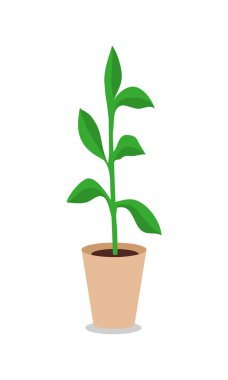 Düz Tasarımda Saksı Vektör İllüstrasyonu