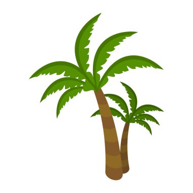Palmiye Ağacı Beyaz Arka Plan üzerinde izole. Arecaceae