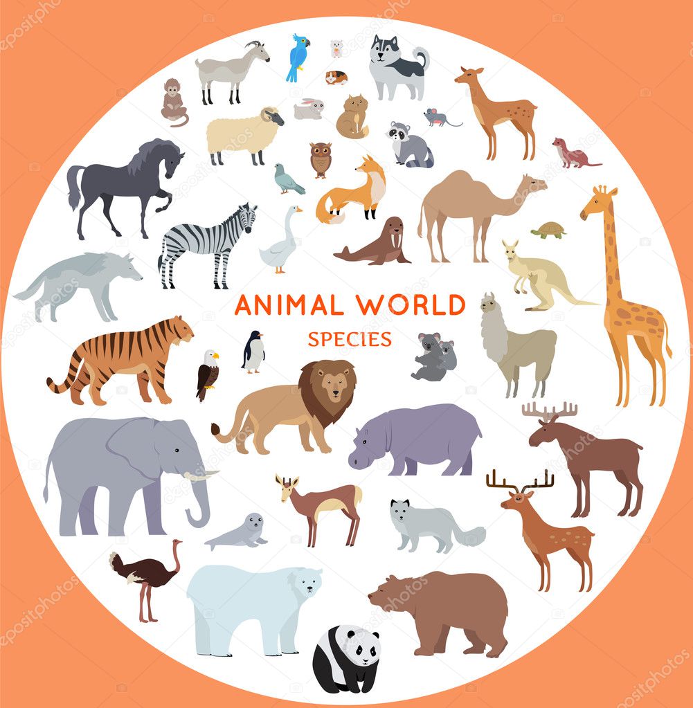 Set of World Animal Species Vector Illustrations.