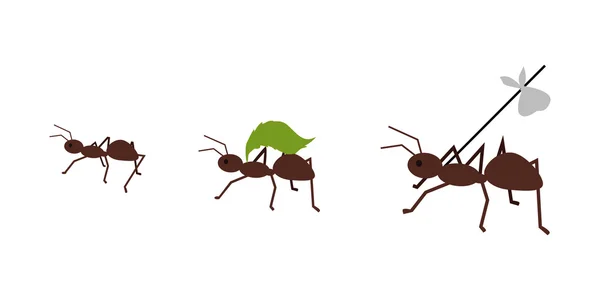 Ameise trägt ihr Gepäck — Stockvektor