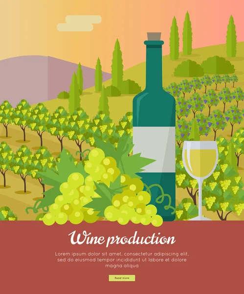 Wine Production Banner. Poster for White Vine. — Stock Vector