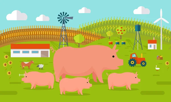 Ilustração do conceito de porcos no quintal . —  Vetores de Stock