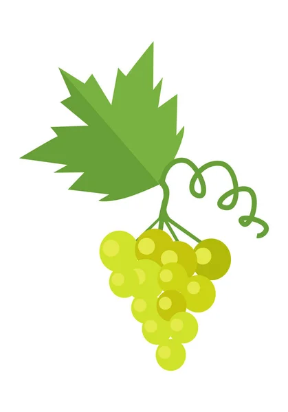 Ramo de uva de vino blanco — Archivo Imágenes Vectoriales