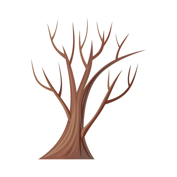 Árbol desnudo sin hojas. Roble. Vector — Vector de stock