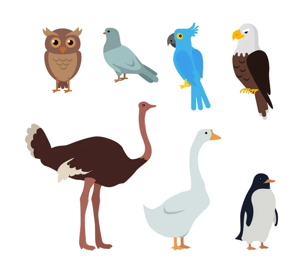 Uil Dove blauwe papegaai Eagle struisvogel Goose Penguin — Stockvector