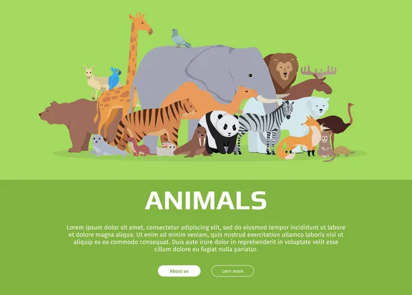 Animals Banner. Website Template — Stock Vector