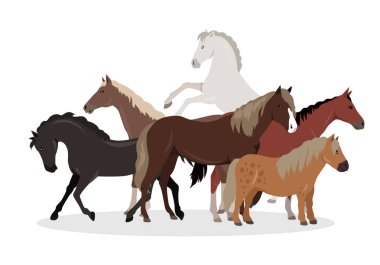 At kavramsal düz stil vektör Web Banner