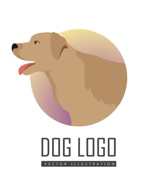 Golden Retriever köpek logosu beyaz arka plan üzerinde