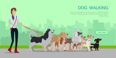 Köpek yürüyüş afiş. Kadın farklı köpeklerle yürümek