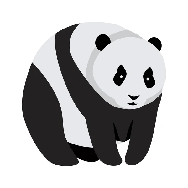 Urso Panda Gigante Isolado em Branco . — Vetor de Stock