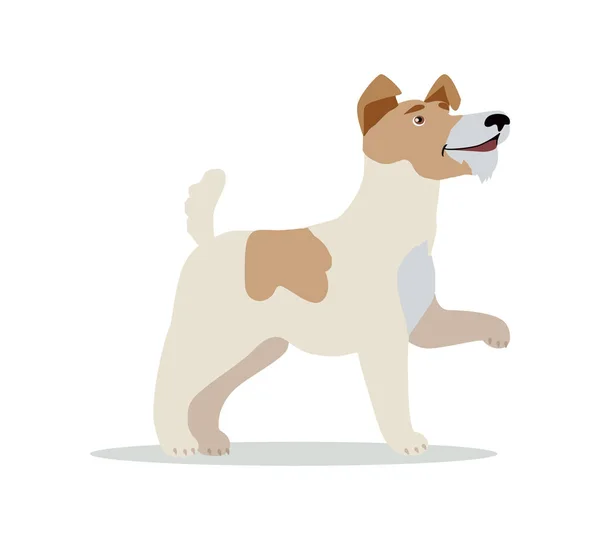 Smooth Fox Terrier raza de perro aislado en blanco . — Vector de stock