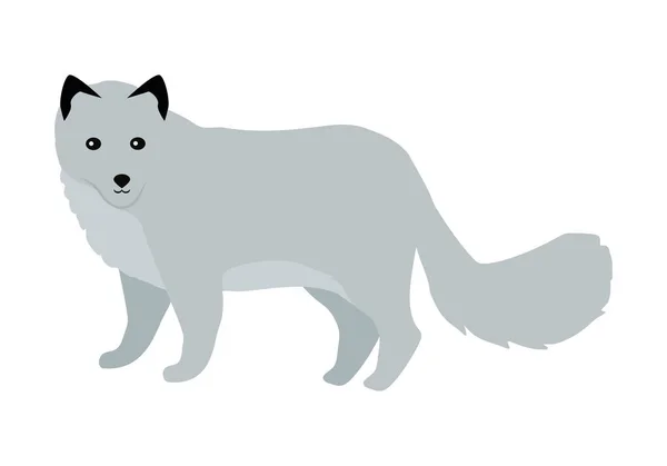 Polar Fox Vector Illustration in Flat Design — Stock Vector