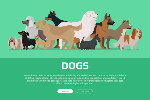 Grupo de raças diferentes Cães . — Vetor de Stock