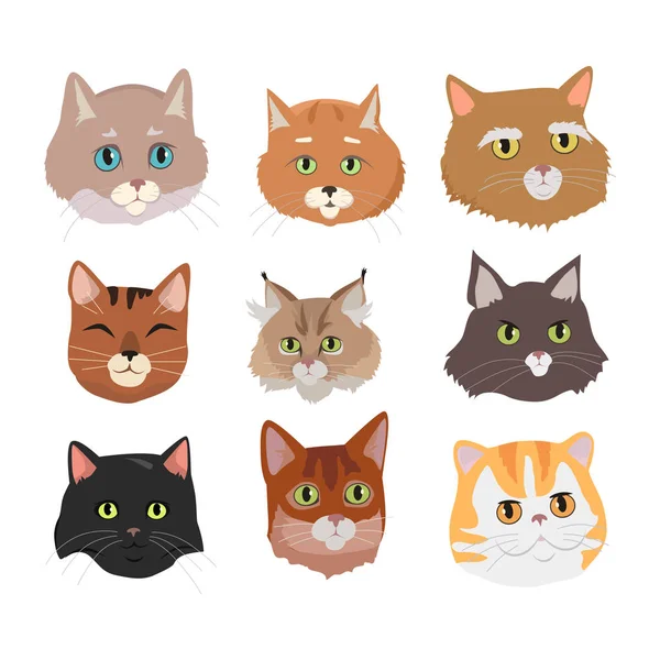 Set of Cat s Faces Vector Flat Design Illustration — Stock Vector