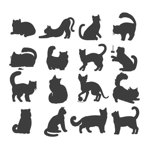 Set of Cats Vector Flat Design Illustration — Stock Vector