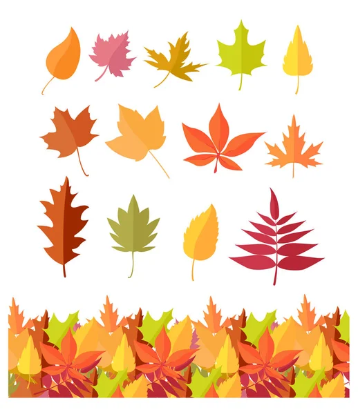 Boom-blad iconen set. Autumn Leaves geïsoleerd — Stockvector