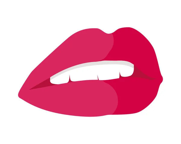 Lèvres séparées peintes avec du rouge à lèvres rouge. Dents blanches — Image vectorielle