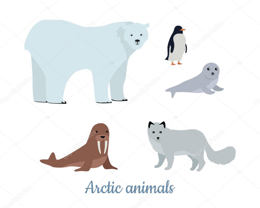 Set of Arctic Animals Illustrations in Flat Design