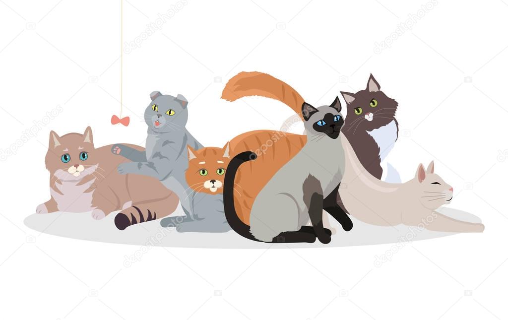 Cat Breeds Cute Pet Animal Set Vector Web Banner.