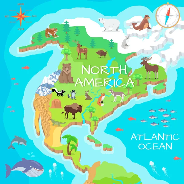 América del Norte Mapa isométrico con flora y fauna . — Vector de stock