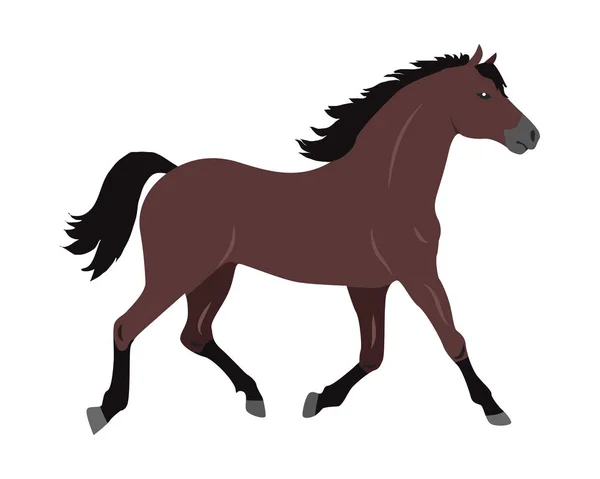 Paard vectorillustratie in platte ontwerp — Stockvector