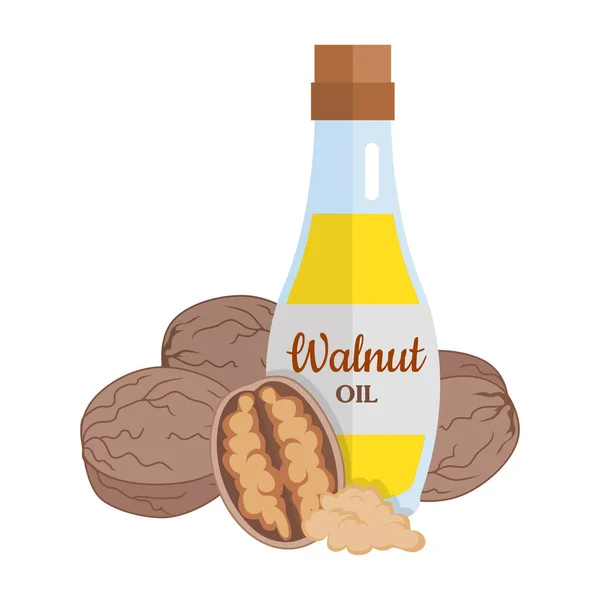 Walnut Kernels with Walnut Oil. — Stock Vector