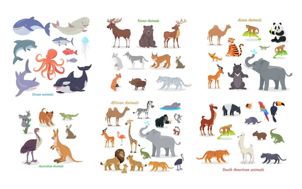 Océan, Forêt, Asiatique, Australien, Africain, Animaux — Image vectorielle