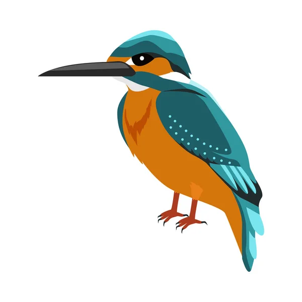 Illustration vectorielle de dessin plat Kingfisher — Image vectorielle